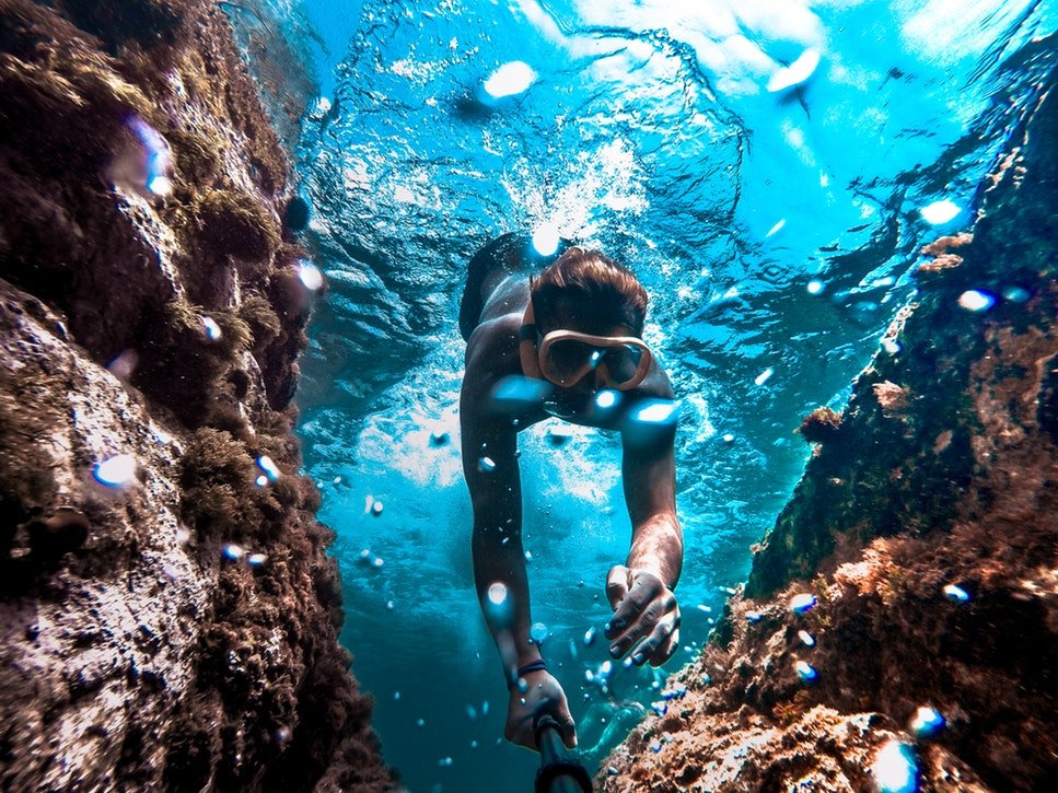 Snorkeler swimming with leopard sharks in the shallow waters of La Jolla Shores during summer near Cormorant La Jolla Cove Hotel